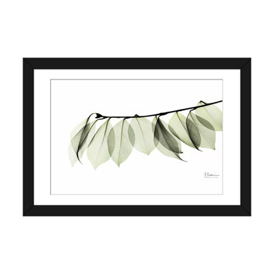 " Camelia Leaf in White " Graphic Art Print
