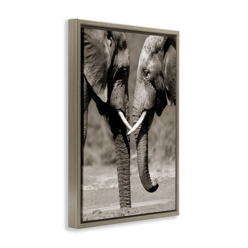 Paire d'éléphants réconfortants, Cadre flottant orme Montalcino, H 25 po x l 17 po
