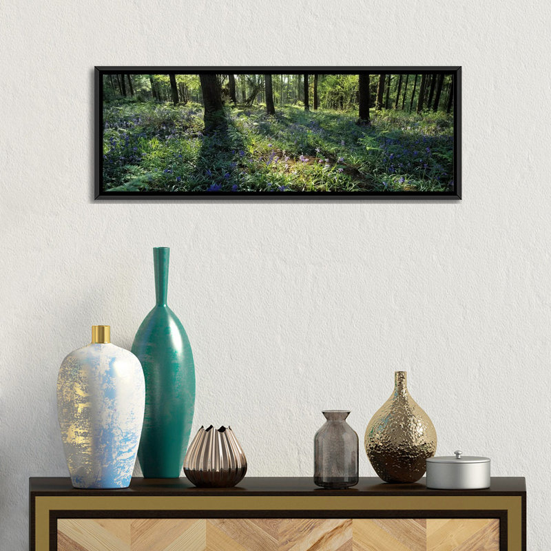 Bluebells de plus en plus dans une forêt, vallée de l'exe, Devon, Angleterre par Panaromic Images - Impression sur toile tendue sur toile tendue avec châssis