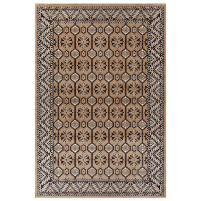 Oriental Area Rug