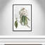 «Pearly Beauty II» par Eva Watts-129313462-129313469-129313487