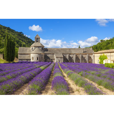 Abbey Of Senanque by Vwalakte - Wrapped Canvas Painting