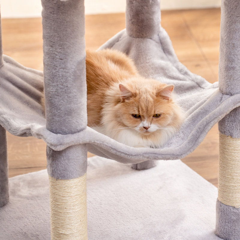 Grand condo 64 "pour chat, Gris clair, H 63,8 po x l 19,7 po x P 19,7 po