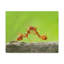 No Frame Print on Canvas-812327675