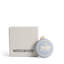Festive Lion Annual Ornament, Light Blue