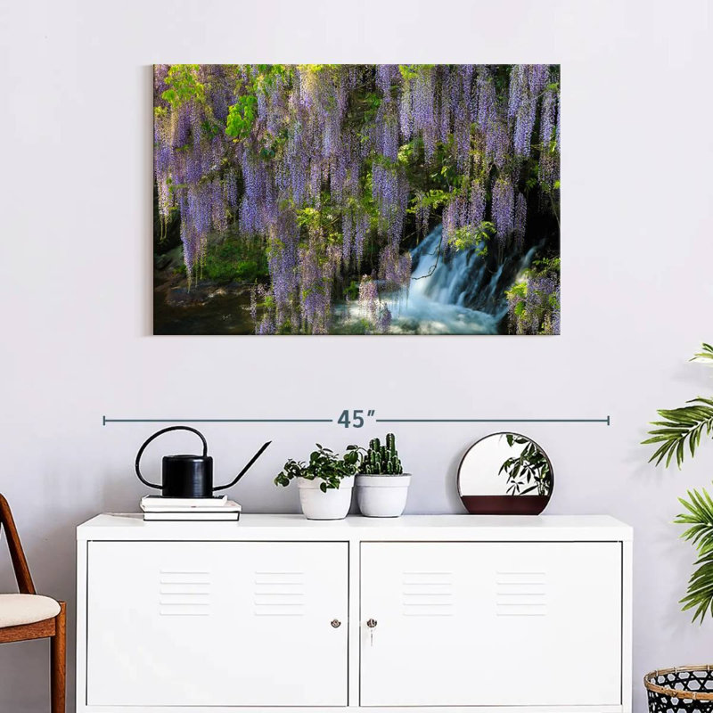 Harnek Wisteria Cascade, H 24 po x l 36 po