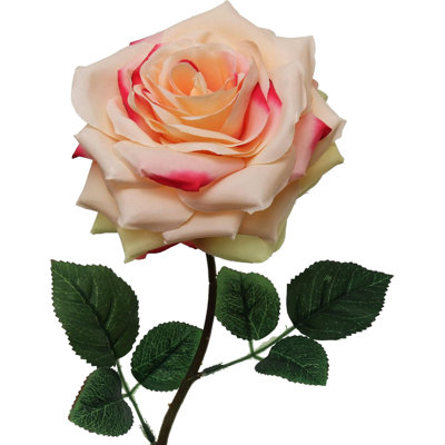 Tiges de roses vibrantes