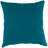 Sunbrella Outdoor Throw Pillow-1805564035