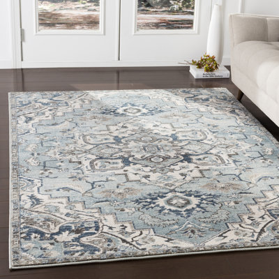 Minneapolis Machine Woven Oriental Area Rug