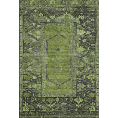 Premium Machine Washable Lubbers AMF1727 Global Rug
