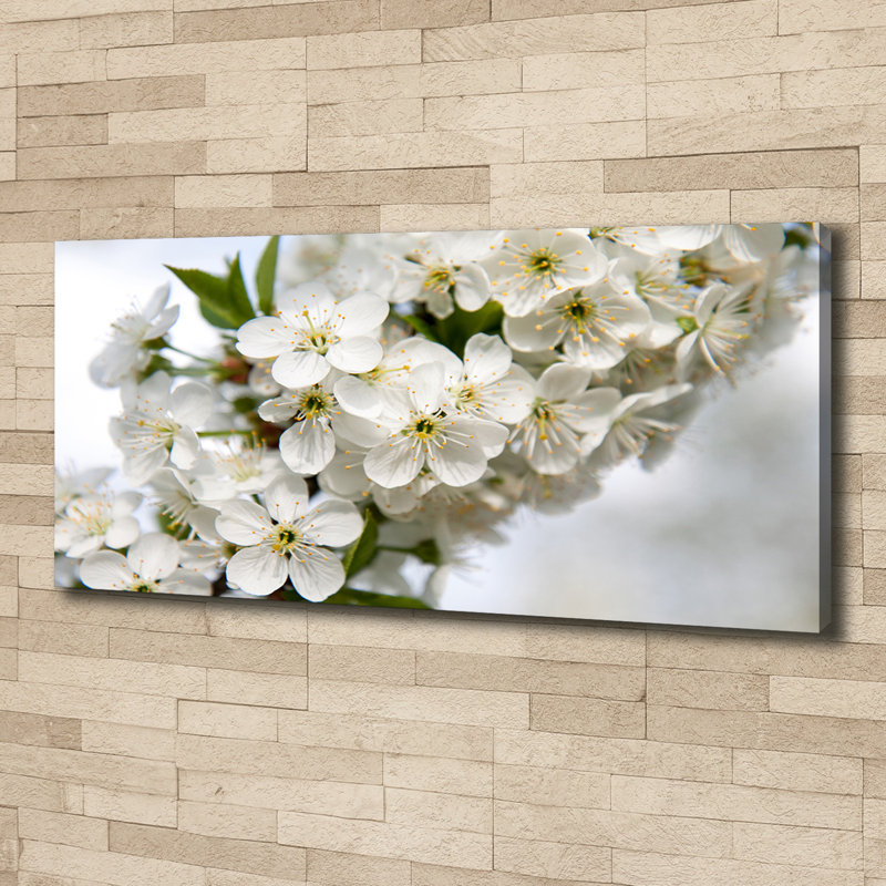 Cherry Blossoms - No Frame Print on Canvas