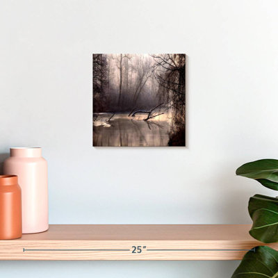 Alvord Forest Swamp