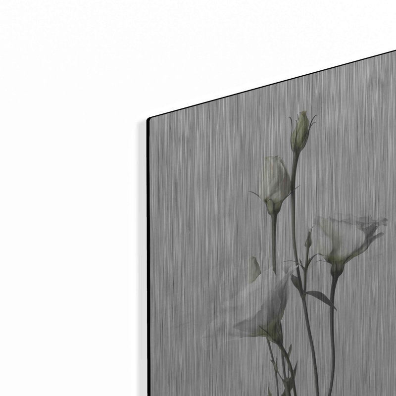Lisianthus blanc par Design Fabrikken - impression sans cadre sur métal, H 16 po x l 12 po x P 0,13 po