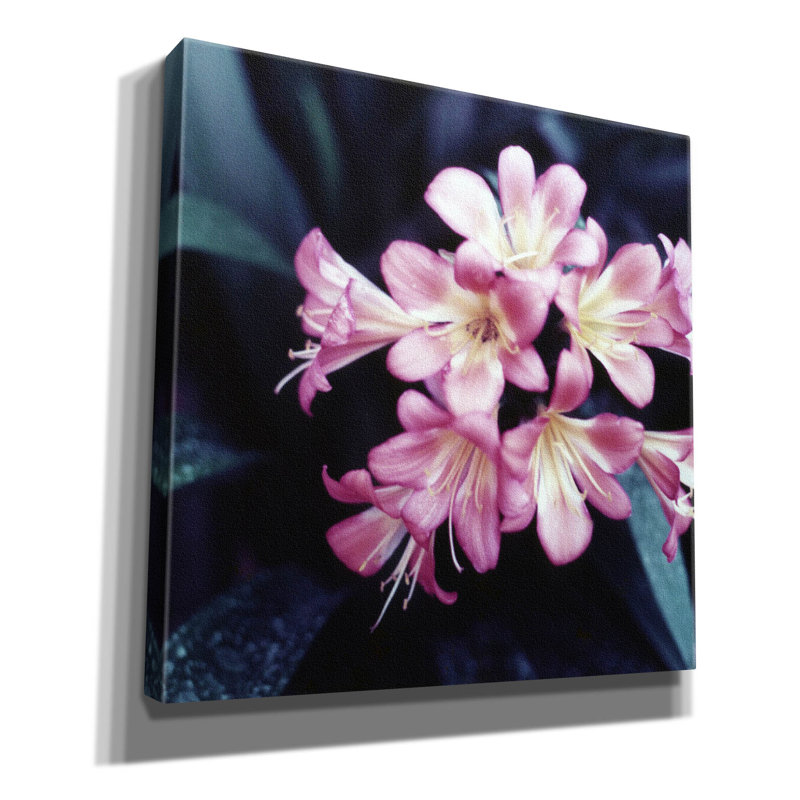 Fleur rose 2 par PhotoINC Studio, H 37 po x l 37 po x P 1,5 po
