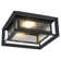 LED Outdoor Flush Mount