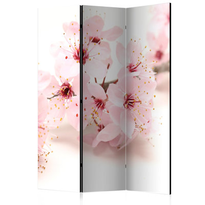 Mamer Solid Wood Folding Room Divider