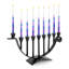 Chanukah Menorah