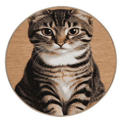 Washable Domestic Shorthair Cats Area Rug