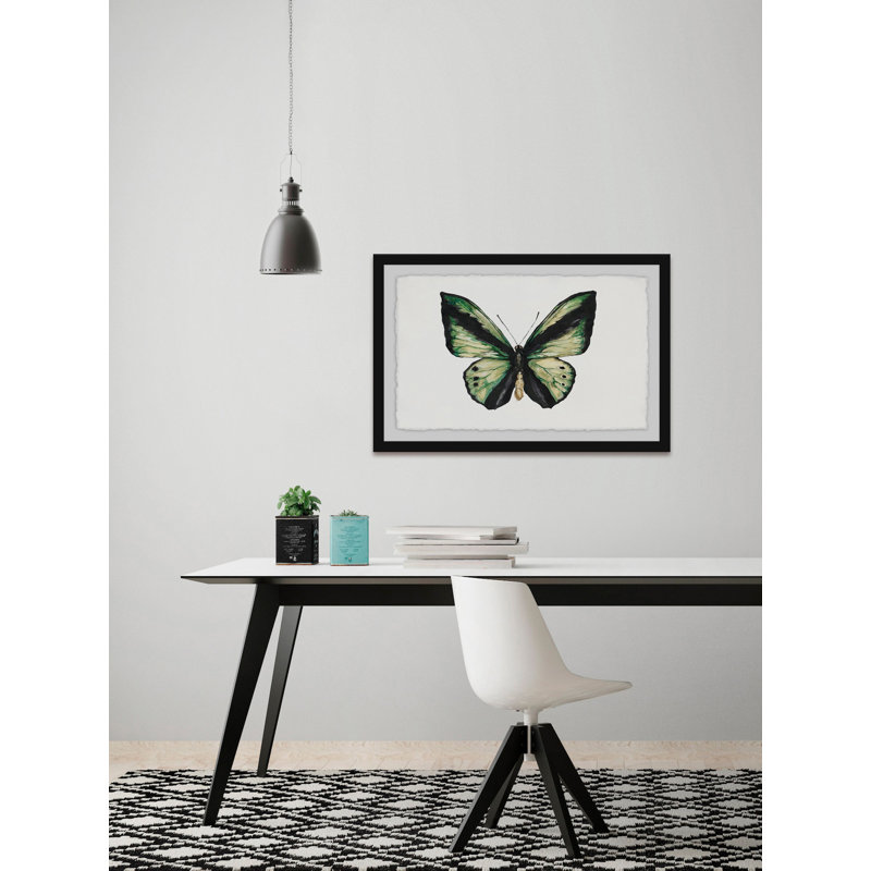 Vert forêt-papillon-impression sur papier, H 8 po x l 12 po