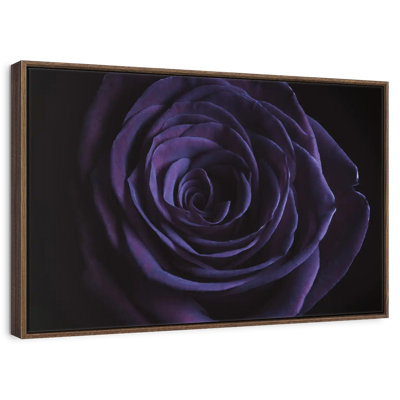 Blooming Violet Rose