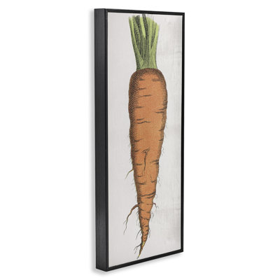  Detailed Carrot Study Framed Giclee Art by Daphne Polselli