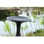 Bain d'oiseaux Onalaska-463971651