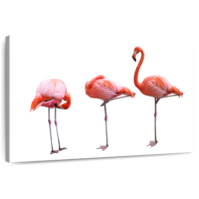 Brampt Pink Flamingo Trio