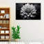 «Calming Petal Essence», art mural-247591050-247591051