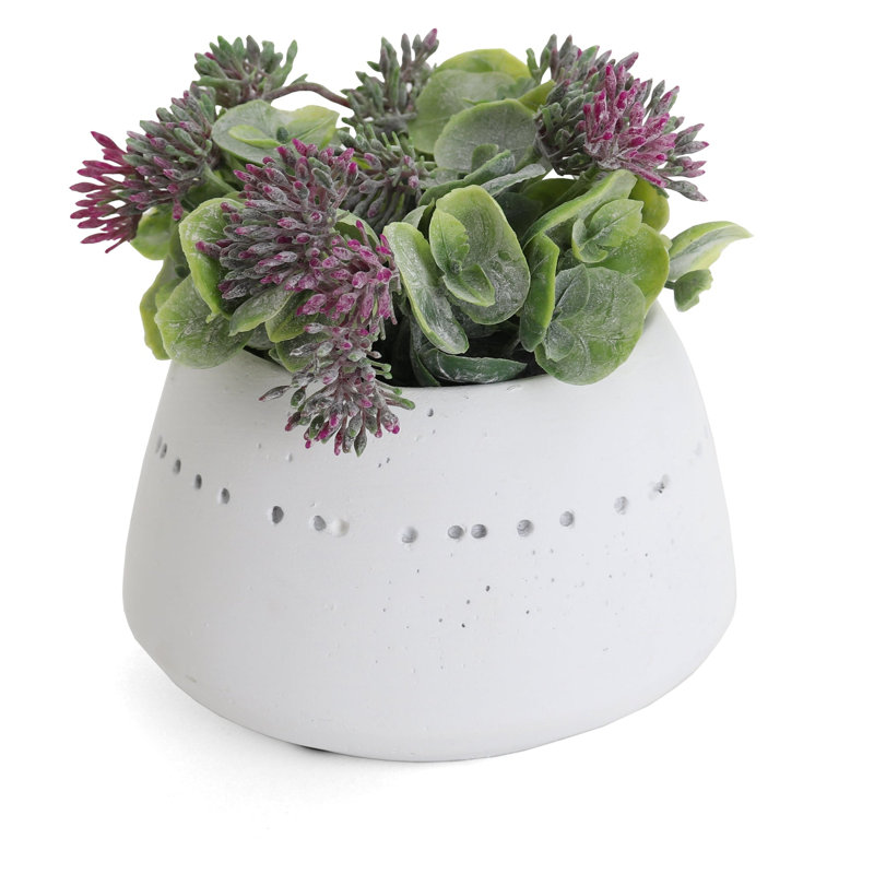 Plante grasse artificielle 5,25 po en pot