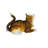 Eile Squat cat Bronze Statue -  Size: 12"L x 6"W x 9"H.