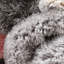 San Francisco Geometric Shag Area Rug-62632488