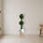 Boxwood Double Ball Topiary Tree in Planter with Stand