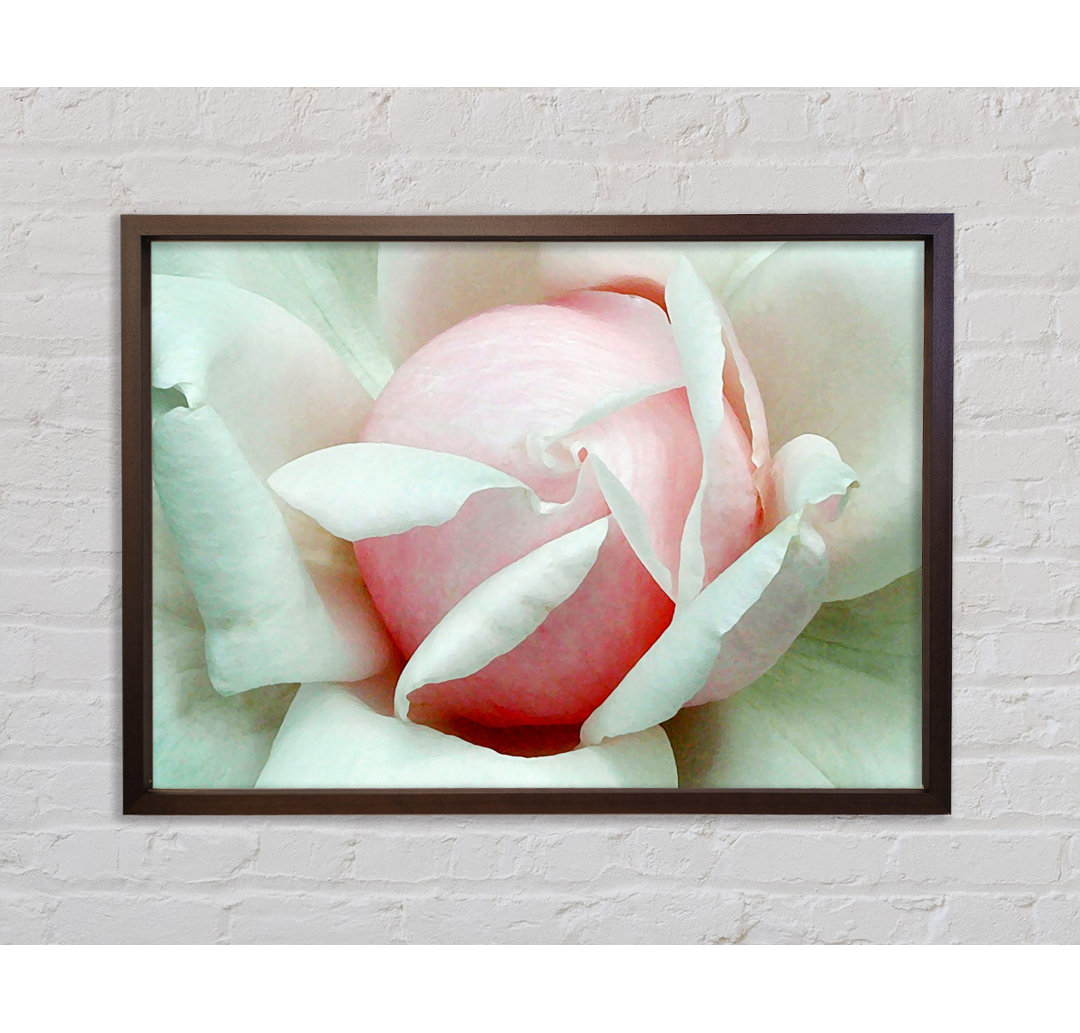 Soft Rose Bud - Einzelner Bilderrahmen Kunstdrucke auf Leinwand