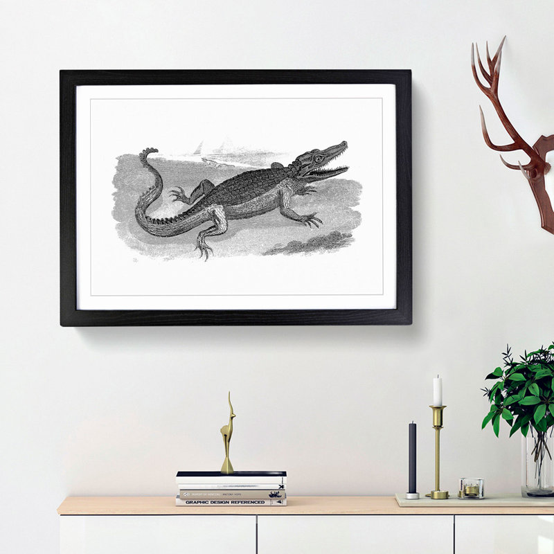 Crocodile in Black & White by George Shaw - Framed Print, Black Framed, 36cm H x 48cm W x 2cm D