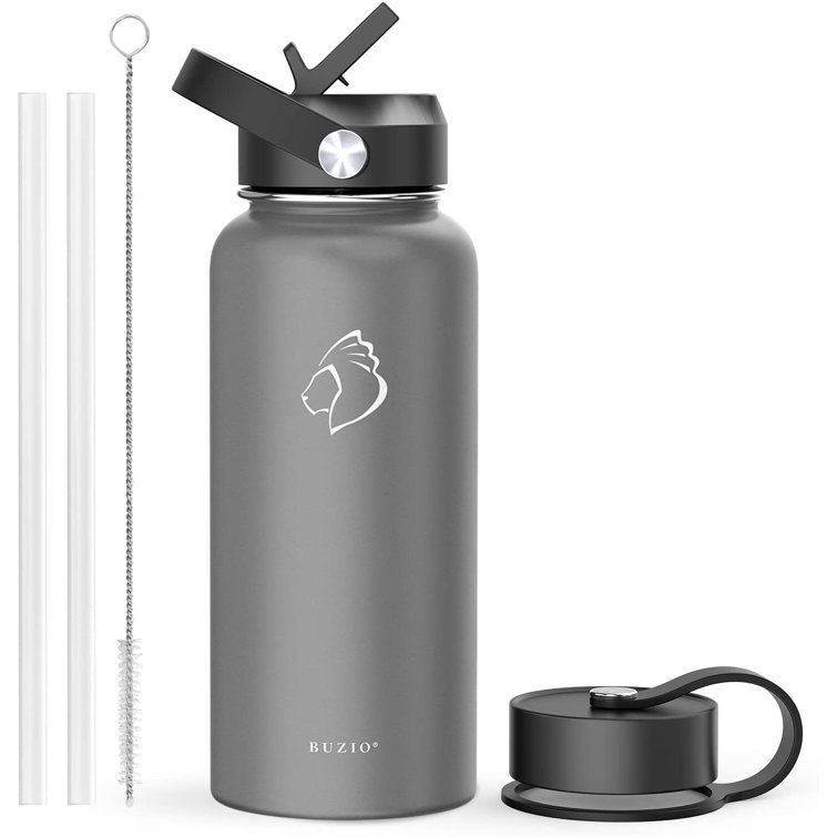 https://assets.wfcdn.com/im/15530631/resize-h755-w755%5Ecompr-r85/2117/211718549/Buzio+Insulated+Stainless+Steel+Water+Bottle.jpg
