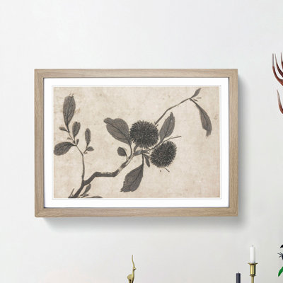 Branch of a Fruit Tree by Shen Zhou - Picture Frame Painting Print