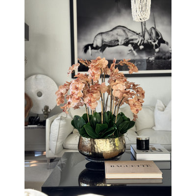 Arrangement en orchidée brun clair Roberi en pot / Dimensions: H 28 po x l 18 po x P 18 po