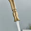Rosdorf Park Caenas Pull Out Kitchen Faucet