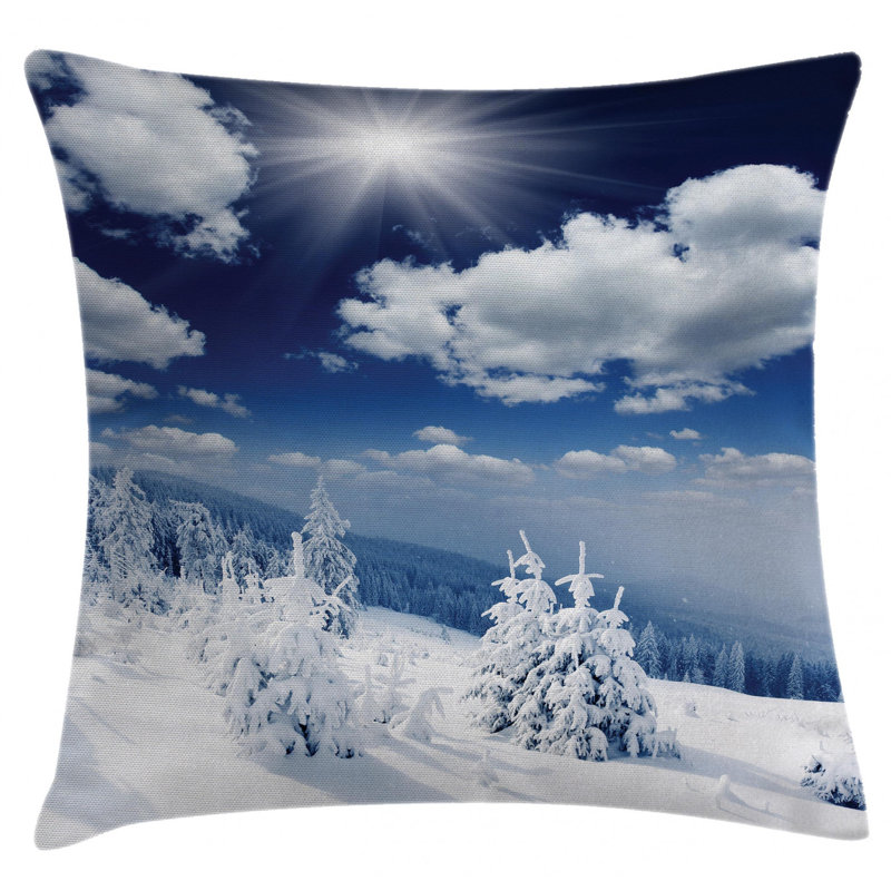 Housse de coussin décoratif 28 po winter