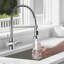 Williston Forge Kitchen Faucet