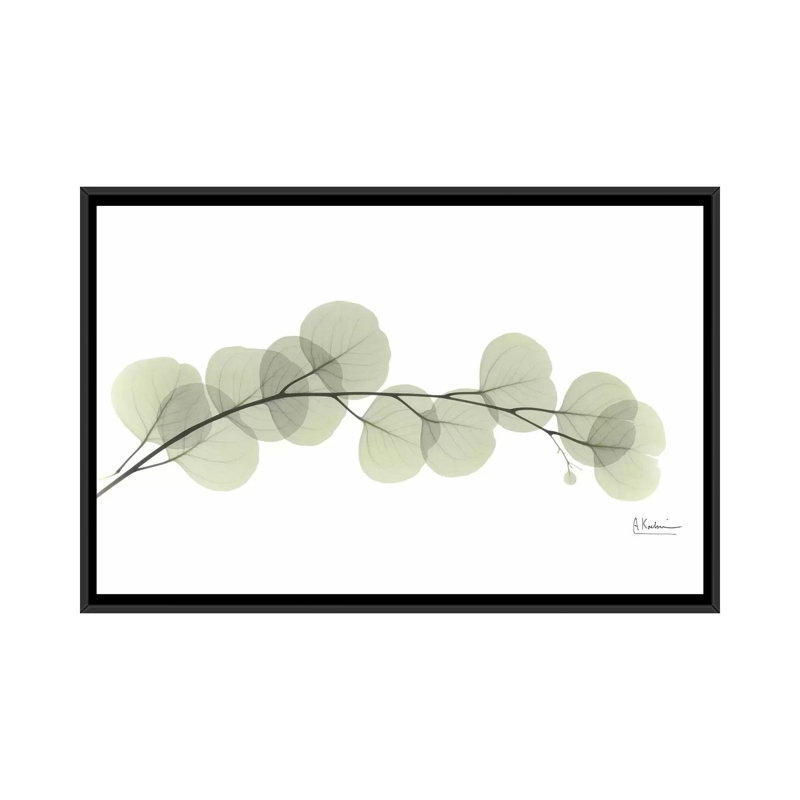 «Eucalyptus» par Albert Koetsier, reproduction sur toile, H 18 po x l 26 po x P 1,5 po, Toile avec cadre noir, Pas de tapis