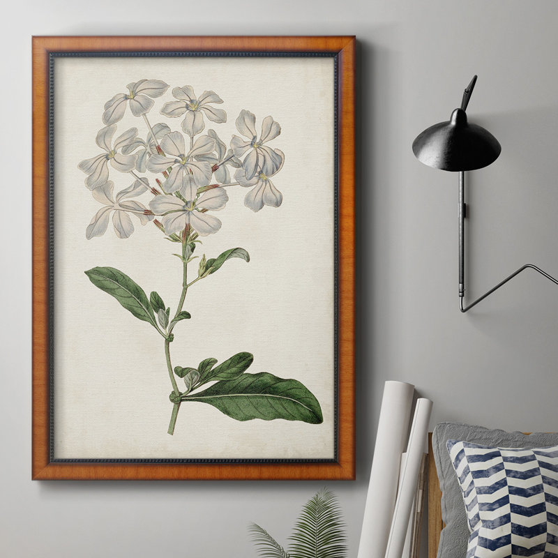 Toile encadrée de qualité supérieure Antique Botanical Collection, H 27 po x l 18 po x P 2,5 po