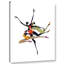 «Soar», reproduction d'impression sur toile encadrée-73628180-73628186