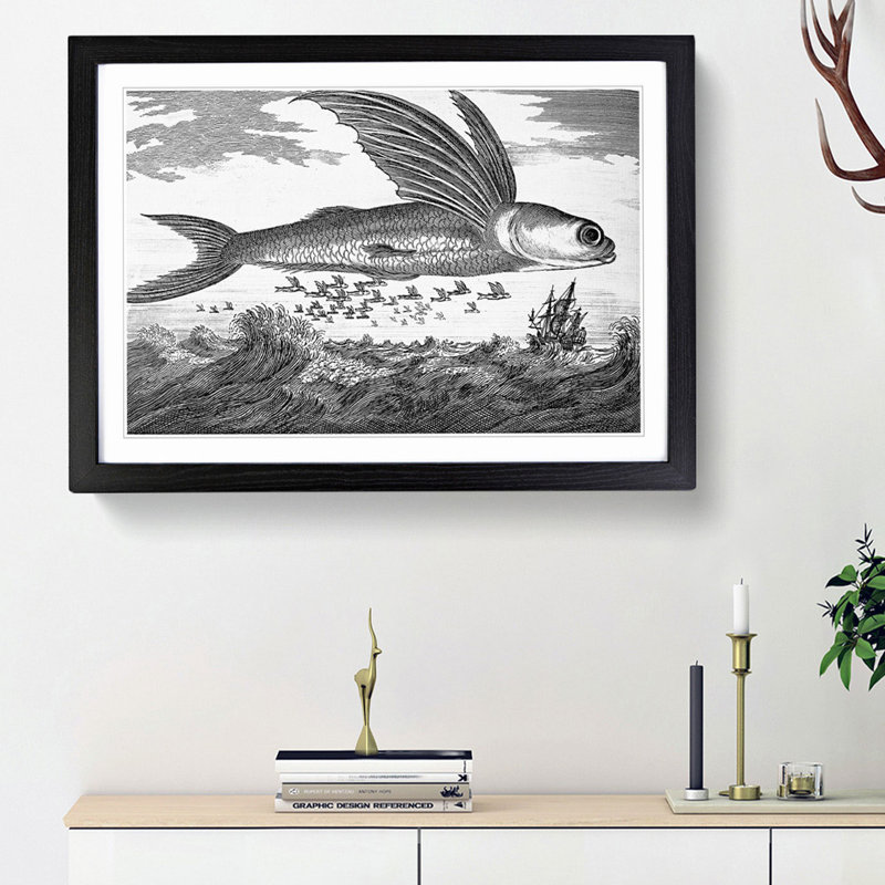 Flying Fish by Thomas Astley - Framed Print, Black Framed, 27cm H x 36cm W x 2cm D