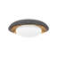 Rocklin 1 - Light Armed Sconce
