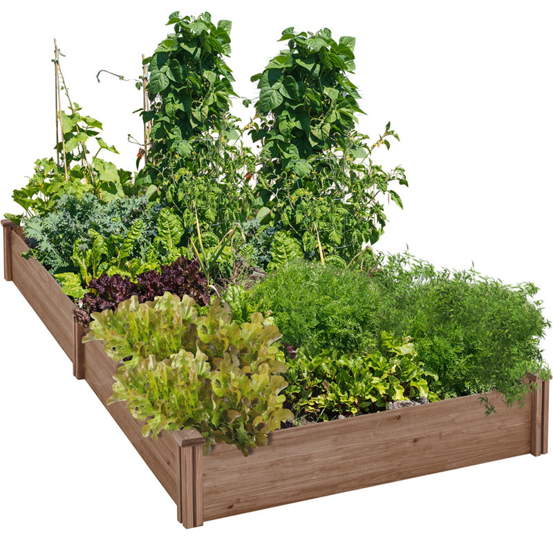 Boîte à fleurs surélevée en bois de sapin Cisbrough, Marron foncé, H 11 po x l 95 po x P 49 po