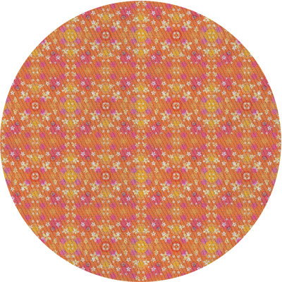Indoor Rug