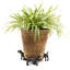 Seraphine Weather Resistant Planter Feet