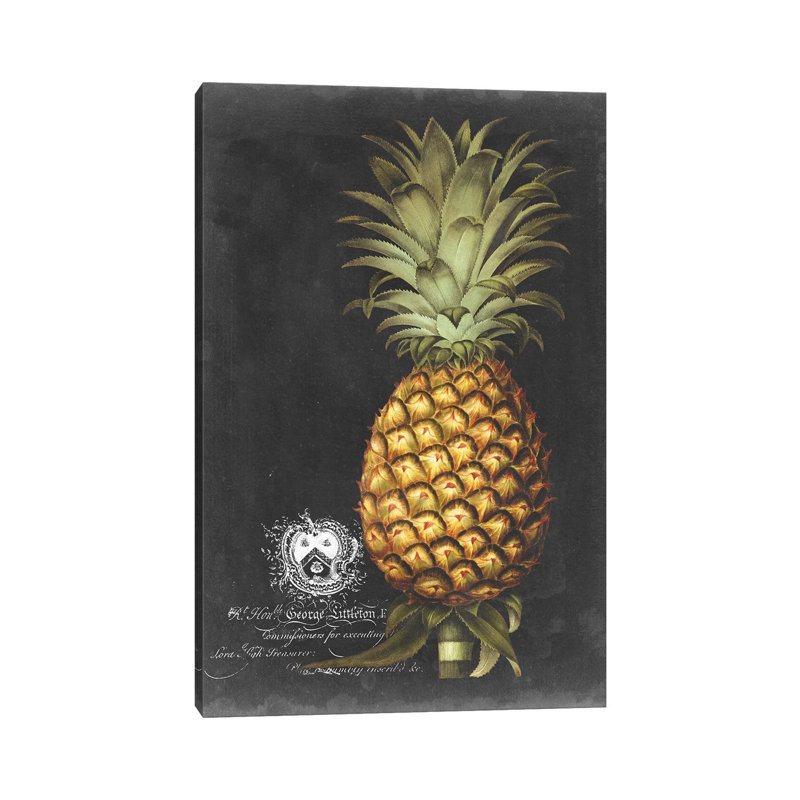 Royal Brookshaw Pineapple I 1 Piece Wrapped Canvas Wall Art, 101.6 cm H x 66.04 cm W x 1.91 cm D