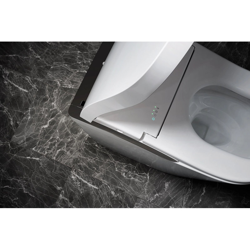Neorest® Bidet Toilet, Cotton/Black
